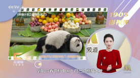 欧美 变态 另类 人妖